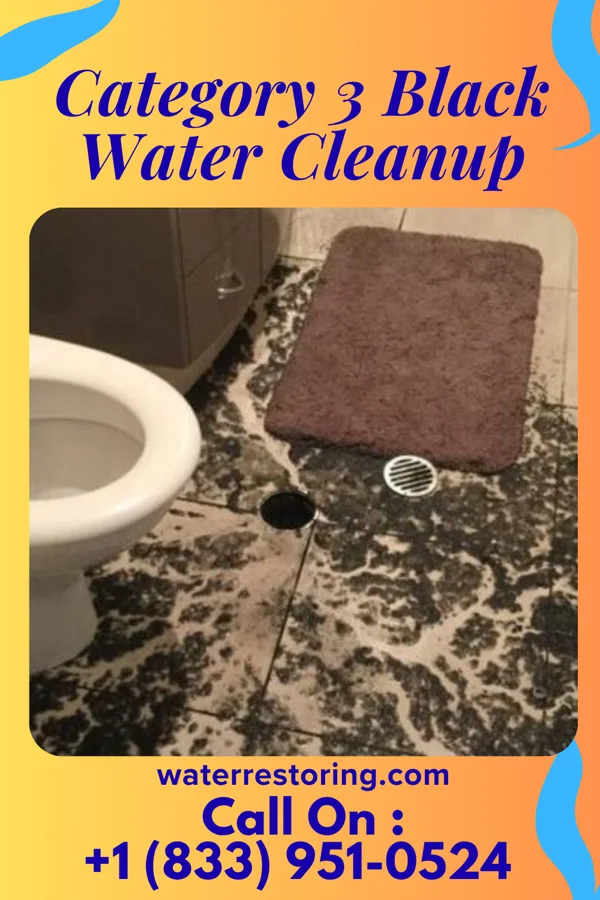 Category 3 Black Water Cleanup in Corunna, IN