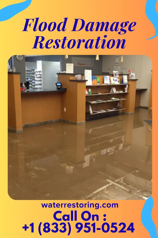 Flood Damage Restoration in Corunna, IN