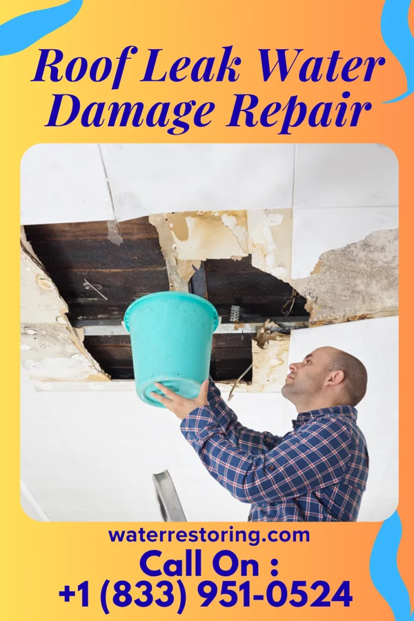 Roof Leak Water Damage Repair in Corunna, IN