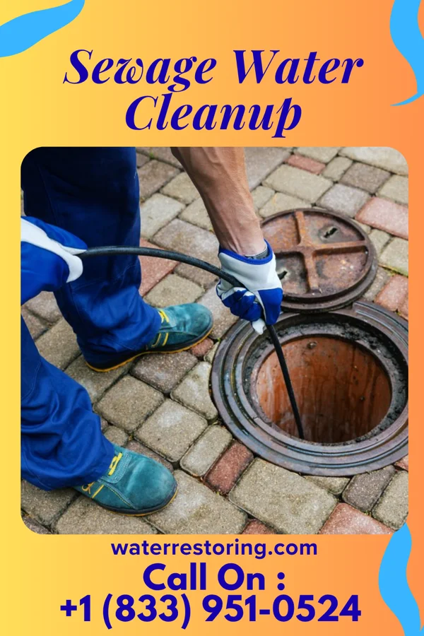 Sewage Water Cleanup in Corunna, IN