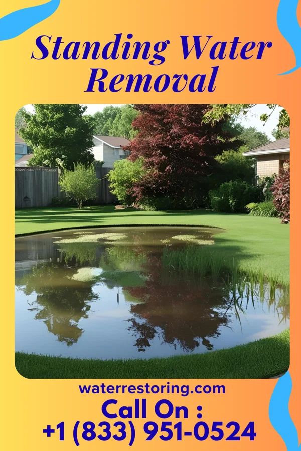 Standing Water Removal in Corunna, IN